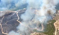 İzmir'in Çeşme ilçesinde ormanlık alanda çıkan yangında 3 kişi öldü