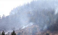 Kastamonu'daki orman yangınında yaklaşık 8 hektar alan zarar gördü