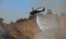 Türkiye orman yangınlarına karşı güçlendirdiği filosuyla "sayılı ülkelerden biri oldu"