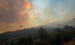 Aydın Germencik'te zeytinlik ve ormanlık alanda çıkan yangına müdahale ediliyor