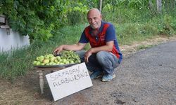 Bahçesinde yetiştirdiği ürünleri yoldan geçenlerle paylaşıyor