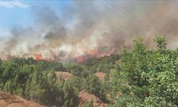 Bingöl'de çıkan orman yangınına müdahale ediliyor