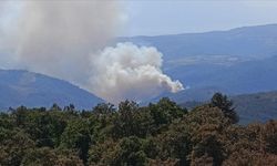 Bursa'da ormanlık alanda çıkan yangına müdahale ediliyor