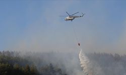 Hatay'da çıkan orman yangınına müdahale ediliyor