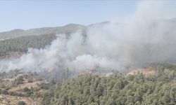 Muğla'nın Milas ilçesinde çıkan orman yangınına müdahale ediliyor