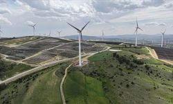 Rüzgar enerjisi Türkiye'de kesintisiz elektrik sağlamada yerli kömürün yerini alabilir