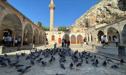 Şanlıurfa'da sıcak hava etkisini sürdürüyor