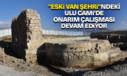 "Eski Van Şehri"ndeki Ulu Cami'de onarım çalışması devam ediyor