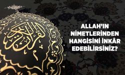 Allah'ın Nimetlerinden Hangisini İnkar Edebilirsiniz?