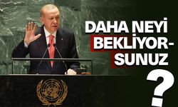 Cumhurbaşkanı Erdoğan: Daha neyi bekliyorsunuz?