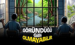 Göründüğü Gibi Olmayabilir