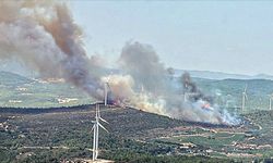 İzmir'in Urla ilçesinde çıkan orman yangınına müdahale ediliyor