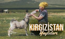 Kırgızistan'ın yaylaları