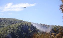 Muğla'da çıkan orman yangınına müdahale sürüyor