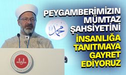 Erbaş: Peygamberimizin mümtaz şahsiyetini insanlığa tanıtmaya gayret ediyoruz