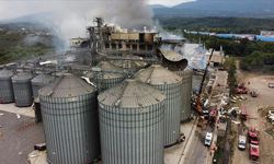 Sakarya'da makarna fabrikasında patlama meydana geldi