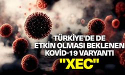 Türkiye'de de etkin olması beklenen Kovid-19 varyantı "XEC" açıklaması