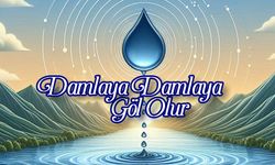 Damlaya Damlaya Göl Olur