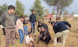 Viranşehir’de anlamlı etkinlik düzenlendi