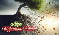 Ağaç Kökünden Yıkılır