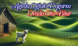 Ağılda Oğlak Doğarsa Ovada Otu Biter