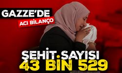 İşgalcilerin Gazze'nin kuzeyine düzenlediği saldırılarda en az 50'si çocuk 84 kişi şehit oldu