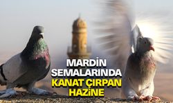 Mardin semalarında kanat çırpan hazine