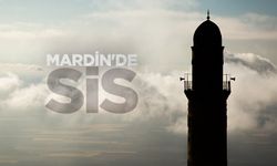 Mardin'de sis etkili oldu