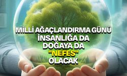 Milli Ağaçlandırma Günü insanlığa da doğaya da "nefes" olacak