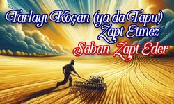 Tarlayı Koçan (ya da Tapu) Zapt Etmez, Saban Zapt Eder