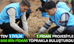 TDV 1 İyilik 1 Fidan projesiyle 800 bin fidanı toprakla buluşturdu