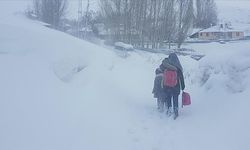 Bingöl ve Tunceli'de kar yağışı nedeniyle taşımalı eğitime 1 gün ara verildi