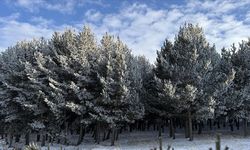 Erzurum, Ardahan, Ağrı ile Kars'ta kırağı ve buzlanmalar oluştu