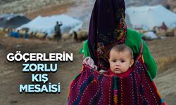 İdil’de göçerlerin zorlu kış mesaisi