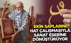 Emekli öğretmen ekin saplarını hat çalışmasıyla sanat eserine dönüştürüyor