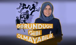 Göründüğü Gibi Olmayabilir