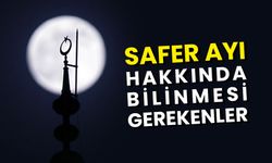 Safer Ayı hakkında bilinmesi gerekenler