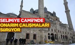 Selimiye Camii'nde onarım çalışmaları sürüyor