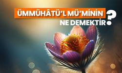 Ümmehâtü’l-mü’minînin ne demektir?