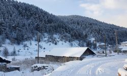 Doğu Anadolu'da 4 ilde kar ve soğuk hava etkisini sürdürüyor