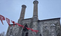 Erzurum, Kars ve Ardahan'da kar ile soğuk hava etkili oluyor