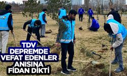 TDV, depremde vefat edenler anısına fidan dikti