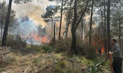 Antalya'da ormanlık alanda çıkan yangına müdahale ediliyor