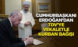 Cumhurbaşkanı Erdoğan'dan TDV’ye vekaletle kurban bağışı