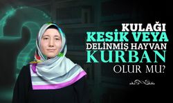 Kulağı kesik veya delinmiş hayvan kurban olur mu?