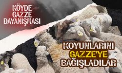 Köyde Gazze dayanışması: Koyunlarını Gazze'ye bağışladılar