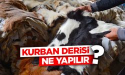 Kurban derisi ne yapılır?