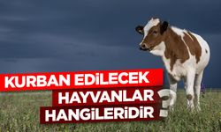 Kurban edilecek hayvanlar hangileridir?