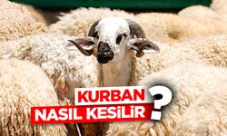 Kurban nasıl kesilir?