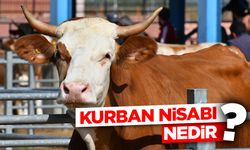 Kurban nisabı nedir?